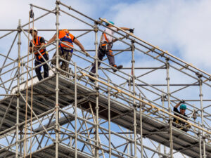 Dogman Course Gladstone - scaffolding