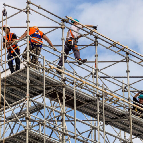 Dogman Course Gladstone - scaffolding